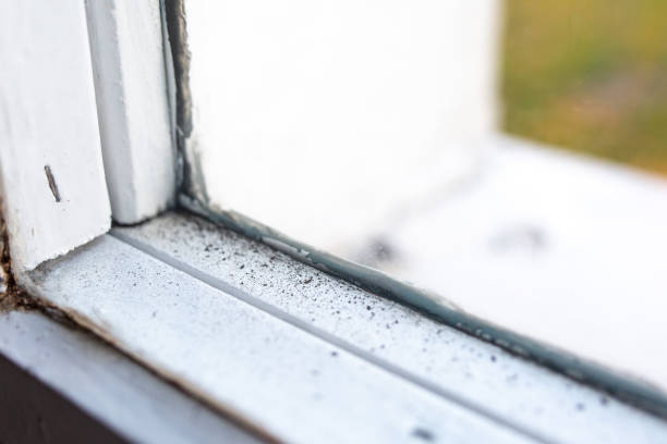 Best Post-Remediation Verification Testing  in Boynton Beach, FL