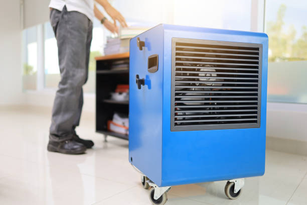 Best Mold Removal for HVAC Installations  in Boynton Beach, FL