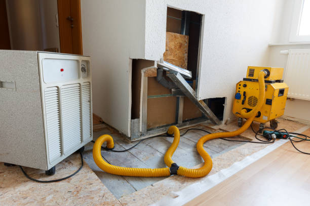Best Indoor Air Quality Assessment  in Boynton Beach, FL