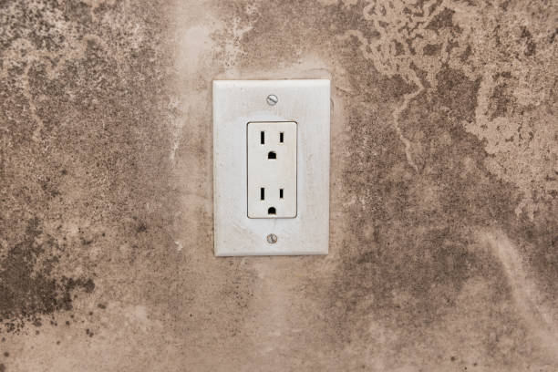 Best Emergency Mold Remediation  in Boynton Beach, FL
